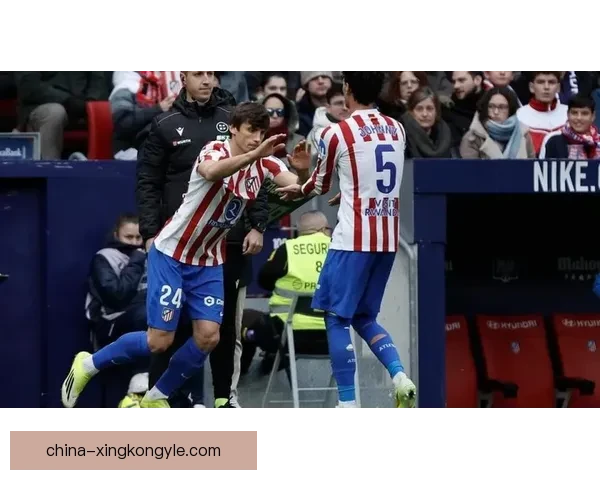 卡多佐恢复合练 下周有望复出对布鲁日